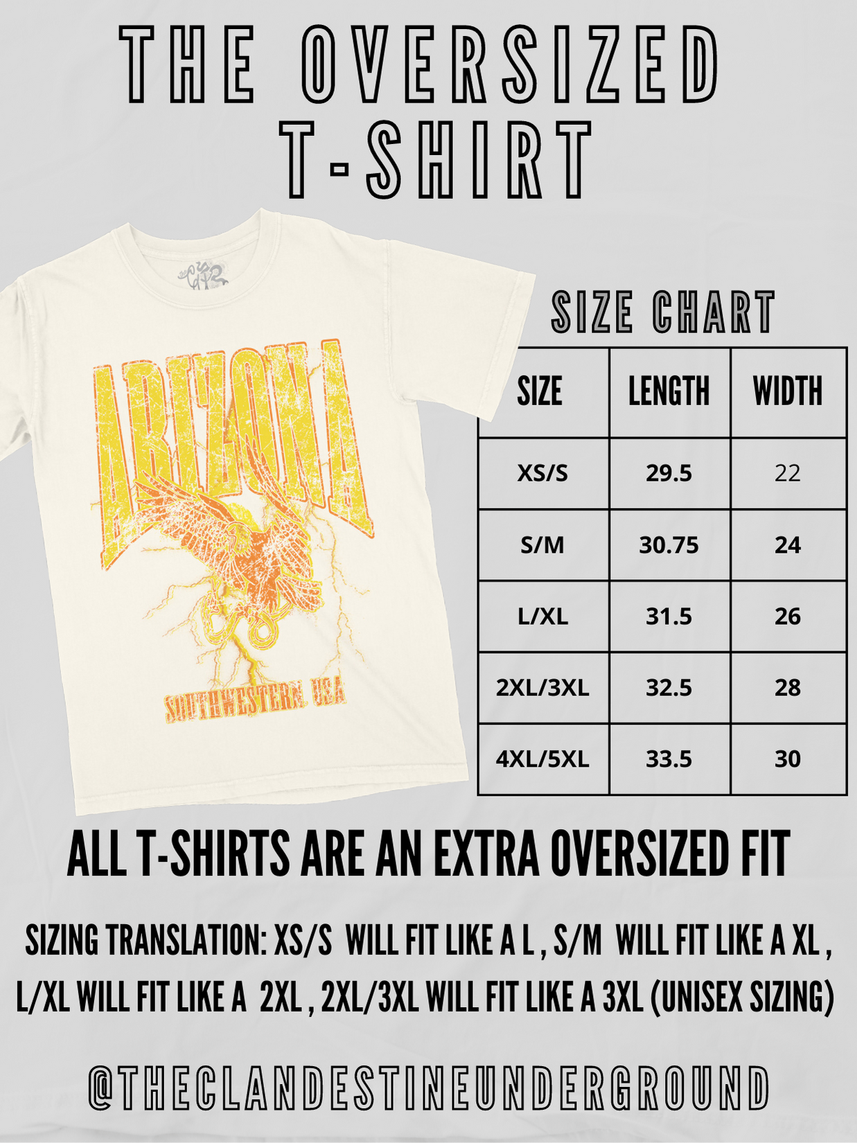 Knoxville, Tennessee Oversized T-Shirt